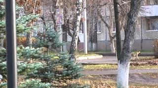 Уничтожать или стерилизовать
