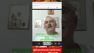 Ce stie albina si nu stim noi? Andrei Ignatov #shorts #ionelnistor #apisines