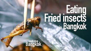 Thai Street Food: Fried insects, worms, and bugs in Bangkok, Must Try!!