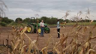 Understanding seedbed preparation, ridging and ripping in farming