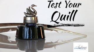 Test Your Quill 2024 | Pastor David Salinas