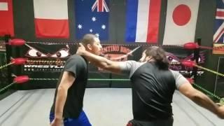 Training video: Punches