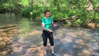 Virtual field trip: crayfish | Shoal Creek part 2