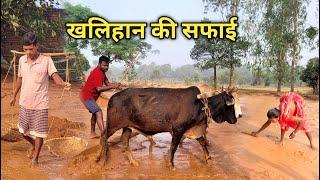 खलिहान का सफाई || khalihan ka safai || kisan life || William vlogs