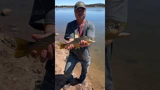 Here Is Seven Fishing At Beautiful Lake Dowdy In The Red Feather Area: Amazing Fishing: #fishing