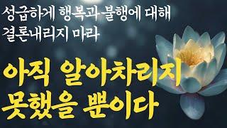행복하고 지혜롭게 살기 위한 '하지 말아야 할 것|당신의 고난이 드디어 끝났다는 결정적 신호|인연에 모든 것은 때가있다|송혜교|부처님말씀|석가모니|ASMR|불교|법륜|법정|인생조언