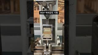 MDF 섬유판 KS 인증 - 도막박리강도시험