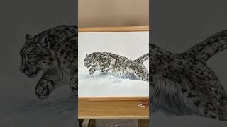 Painting a snow leopard in acrylic. 🩵 #art #painting #acrylicpainting #shorts #snow