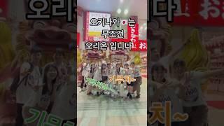  오키나와 친구 만들기‼ 일본 #오키나와  #오리온  orion okinawa Japan #기무치 #오키나와여행 오키나와티셔츠 
