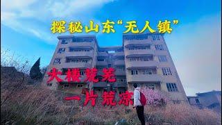 探秘山东荒废的“无人镇”，大楼荒废无人居住，一片荒凉的景象 #城市探险#废墟#诡异【探险牙牙牙】