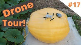 Drone Giant Pumpkin Patch Tour