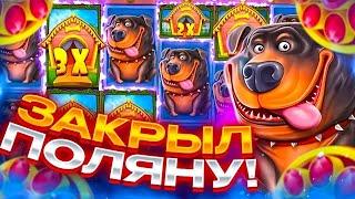 ДОГ ХАУС ЗАСЫПАЛ МЕНЯ БОНУСАМИ СДЕЛАЛ 50.000Р в THE DOG HOUSE MEGAWAYS/ ДОГ ХАУС ЗАНОС