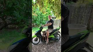 Dog drive on Motorbike | Zoeta Dogsoul