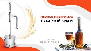Первая перегонка сахарной браги на аппарате "Аполлон"