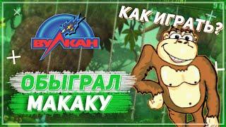 Обыграл Крейзи Манки в Казино Вулкан! +20000к на балансе!