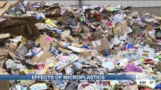 A closer look at microplastics, how our bodies respond to them