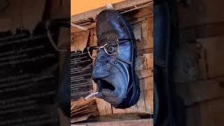 عجائب وغرائب