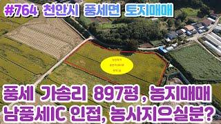 (매물#764) 천안시 풍세면 가송리 토지농지매매, 897평 답, 사통팔달 접근성 좋은 농사짓기 좋은곳!