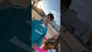 Шкодник Матфей , Квинка и Сааша следят за Лаурой и Камилем