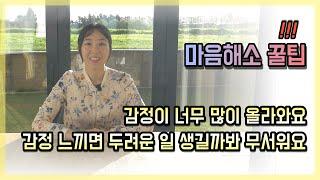 [마음 해소 꿀팁] 감정 느꼈다가 두려운 일 생기면 어떡해? 감정 너무 많이 느껴지는데 정상일까?