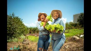 The Farm Chicks EP 1| 'Hogtastic' time with Debbie Bissoon and Becky Bissoon on Rock Springs Farm