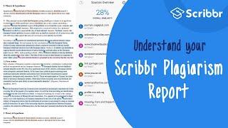 The Scribbr Plagiarism Report Explained | Scribbr 