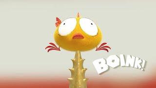 Boink! | Where's Chicky? | Cartoon Collection in English for Kids | New episodes