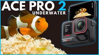 I tested the Ace Pro 2 underwater (FIRST EVER) (GOPRO KILLER?)....