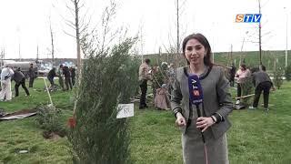 В Silk Road Samarkand посажено дерево STV.UZ