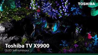 Toshiba TV X9900 - Made For and Of Artistic Beauty