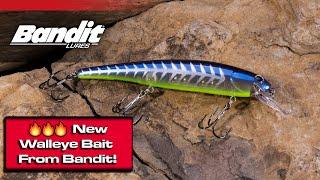 Introducing the *NEW* Bandit B-Rotan