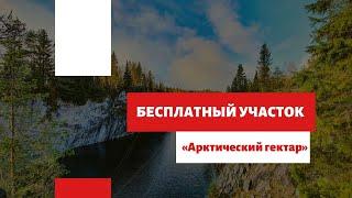 Как бесплатно получить земельный участок по программе арктический гектар?