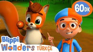 Blippi ve Sincap ile Fındık Avı! | Blippi Türkçe - Çocuklar için Eğitici Videolar