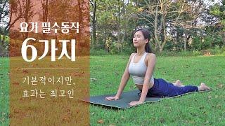 꼭 필요한 6가지 요가 동작 | 효과만점 기본 스트레칭, 기초요가 배우기