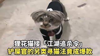 狸花猫接「江湖追杀令」！铲屎官的另类寻猫法竟成爆款！  #宠物故事 #动物故事 #暖心故事