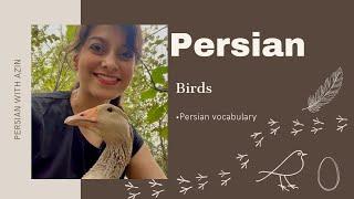 Persian vocabulary: Birds