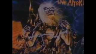 Movie Reviews - Evil in the Woods (1986)