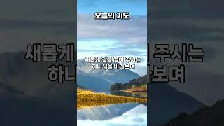 "때를 따라 돕는 은혜를 얻기 위하여" #오늘의기도 #은혜로운채널#(히 4:16)#붙잡으시고 일으켜세우시고 새롭게 길을 열어주시는 하나님#내주하시고충만케 하시는 하나님의 역사