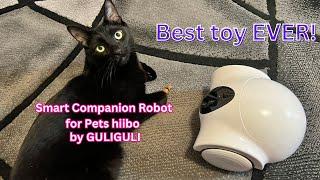 Smart Companion Robot for Pets hiibo by GULIGULI