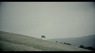 Blessings by Andrew Hinton, Owen Ó Súilleabháin, and David Whyte