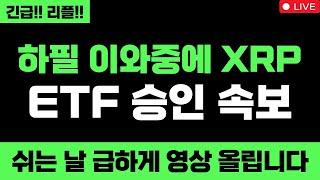 리플 미쳤습니다 하필 이와중에 터진 XRP ETF 승인속보 대박입니다 쉬는 날 급하게 영상 올립니다 XRP 무조건 올라요 #엑스알피 #리플코인 #엑스알피전망