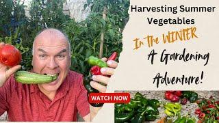 Harvesting Summer Vegetables In The Winter: A Gardening Adventure!