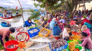 Bến Cá Sơn Thuỷ Nha Trang | Ngập Tràng Hải Sản Chợ Vĩnh Hải