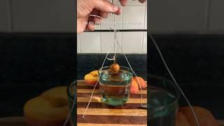 Peach Pit Hack                                       #peaches #hack #plants
