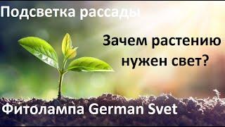 Подсветка рассады. Фитолампа Герман свет.