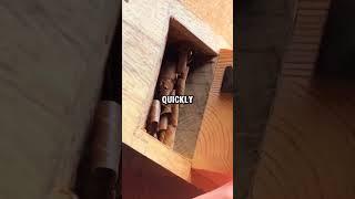 #Woodworking #Reddit #Reddit Stories #Storytime #DIY #FYP #Satisfied