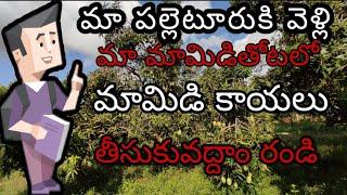 VILLAGE MANGOES|IN TELUGU|BY SAGARAPU