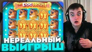 ЗЛОЙ ПОЙМАЛ НЕРЕАЛЬНЫЙ ВЫИГРЫШ В THE DOG HOUSE | ЛУЧШИЕ МОМЕНТЫ ЗЛОГО №155 | Заносы Недели