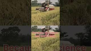 Peddy harvesting #innovation#technology#yt shorts #trending#viral vdo #@Grow with rashmi
