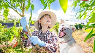 마지막 날이 찾아왔구려, 올해도 수고 많았어